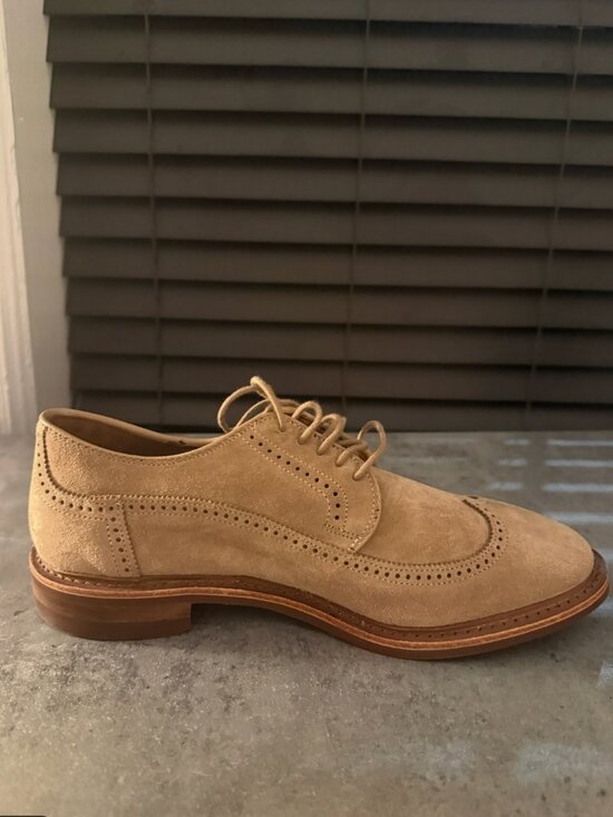NWT Allen Edmonds Winstonmok Wingtip Derby Dress Shoe